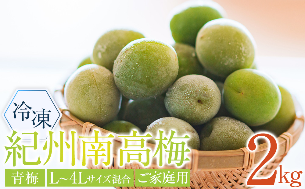 冷凍 紀州南高梅 青梅   約2kg   L～4Lサイズ混合 ご家庭用
