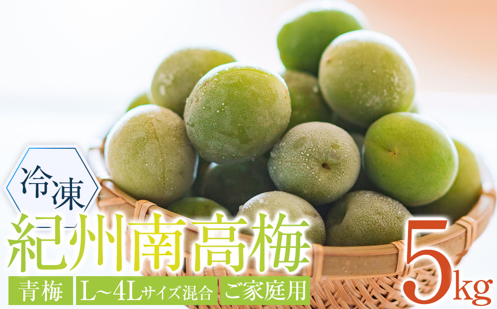 冷凍 紀州南高梅 青梅   約5kg   L～4Lサイズ混合 ご家庭用