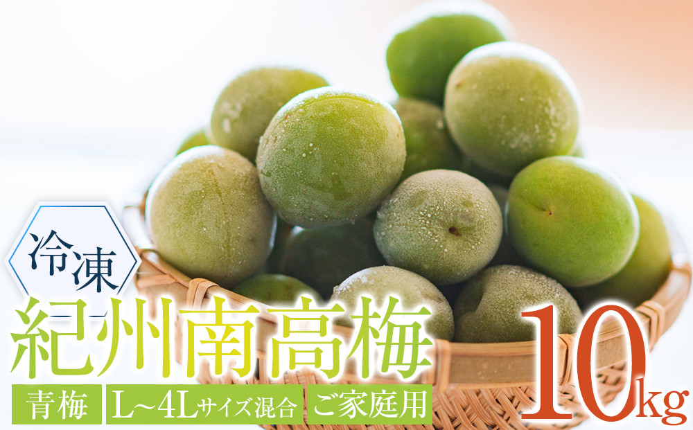 冷凍 紀州南高梅 青梅   約10kg   L～4Lサイズ混合 ご家庭用