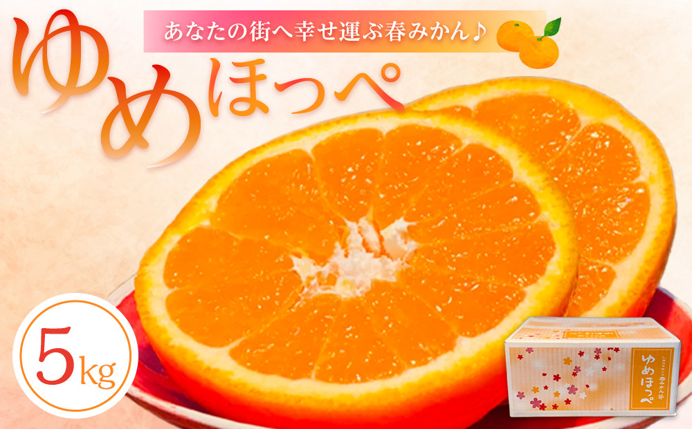 【2026年3月より順次発送】山口県周防大島町からあなたの街へ幸せ運ぶ春みかん《ゆめほっぺ》5kg