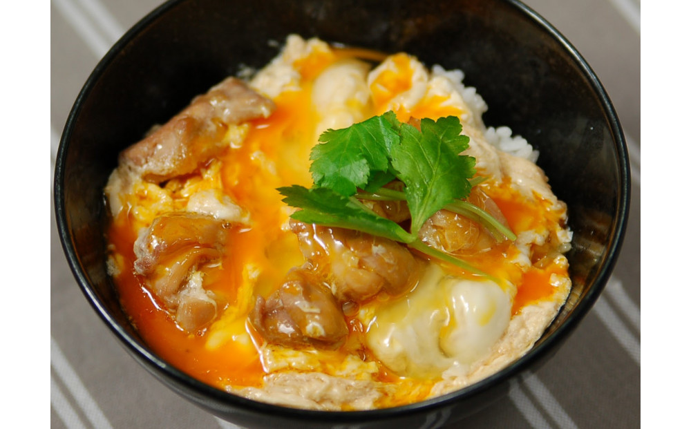 【福岡市】はかた地どり 親子丼セット(2人前×4)