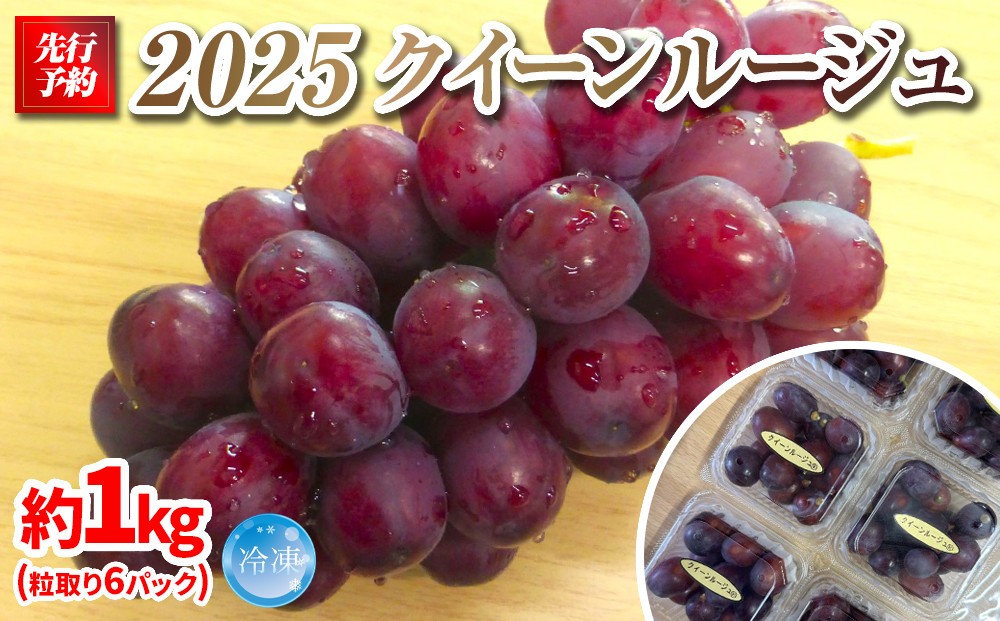 【先行予約】2025　P　クイーンルージュ®　冷凍粒採り6パック 　約1キロ　長野県産【10月中旬頃～順次発送予定】国際特許有機肥料栽培