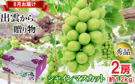 [農家直送]厳選シャインマスカット1.2kg箱（8月出荷）[持田農園]