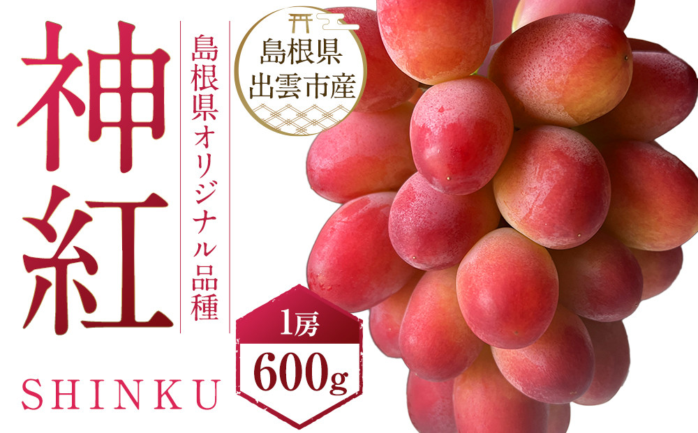 島根県オリジナル品種　神紅1房（500ｇ見当）&nbsp;甘い&nbsp;美味しい&nbsp;新鮮&nbsp;&nbsp;ぶどう&nbsp;フルーツ&nbsp;果物&nbsp;出雲市産
