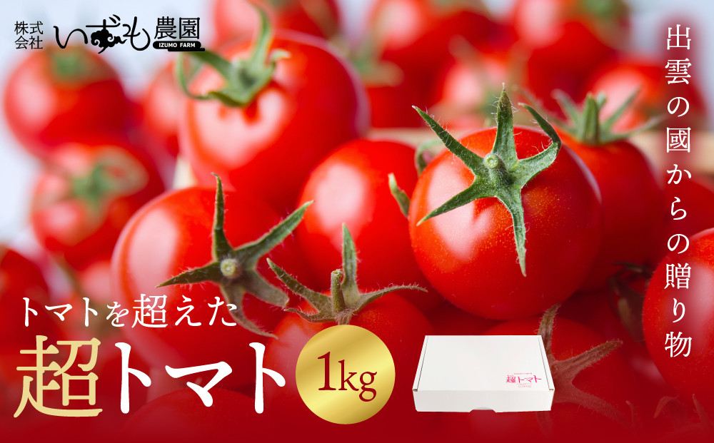 出雲の國からの贈り物～トマトを超えた超トマト１kg&nbsp;|&nbsp;トマト&nbsp;とまと&nbsp;野菜&nbsp;やさい&nbsp;新鮮&nbsp;産地直送&nbsp;贈答&nbsp;出雲&nbsp;出雲市
