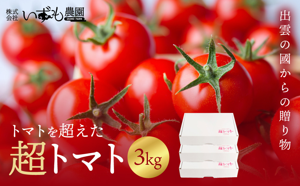出雲の國からの贈り物～トマトを超えた超トマト3kg【トマト&nbsp;とまと&nbsp;野菜&nbsp;やさい&nbsp;新鮮&nbsp;産地直送&nbsp;贈答&nbsp;出雲&nbsp;出雲市&nbsp;おすすめ&nbsp;人気】