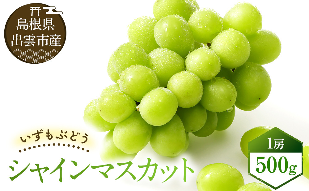 【2026年8月中旬以降発送】いずもぶどう　シャインマスカット(500ｇ見当)&nbsp;先行&nbsp;美味しい&nbsp;フルーツ&nbsp;果物&nbsp;出雲市産