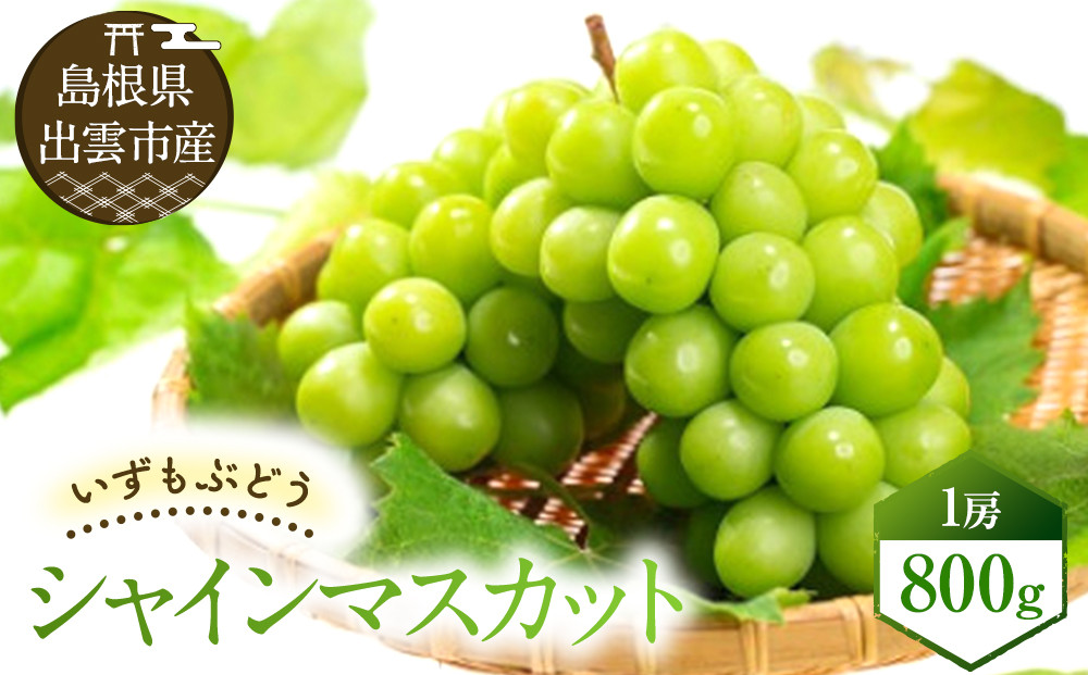 【2026年8月中旬以降発送】いずもぶどう&nbsp;シャインマスカット(800ｇ見当)&nbsp;美味しい&nbsp;フルーツ&nbsp;甘い&nbsp;果物&nbsp;出雲市産