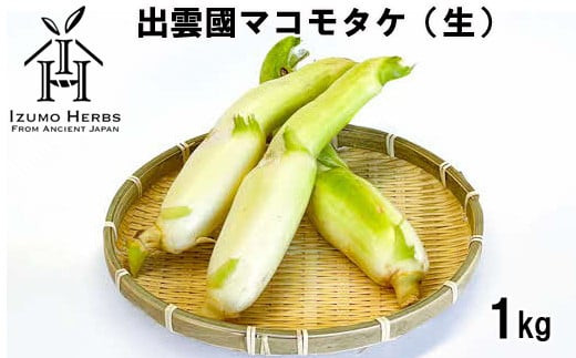 出雲國マコモタケ（生） 1kg 出雲市産　【2026年9月上旬以降発送】