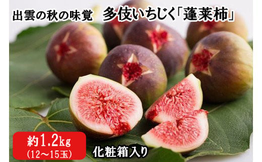 出雲の秋の味覚　多伎いちじく「蓬莱柿」化粧箱入り