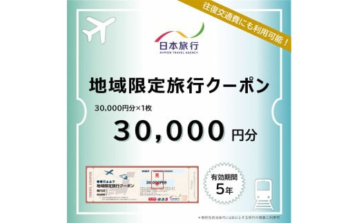 島根県出雲市　日本旅行　地域限定旅行クーポン30,000円分｜日本旅行&nbsp;地域限定&nbsp;旅行&nbsp;クーポン&nbsp;3万円分&nbsp;チケット&nbsp;宿泊券&nbsp;観光&nbsp;ふるさと納税&nbsp;出雲市