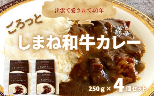 ごろっとしまね和牛カレー　4食セット