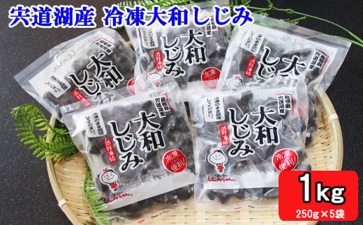 宍道湖産冷凍しじみ