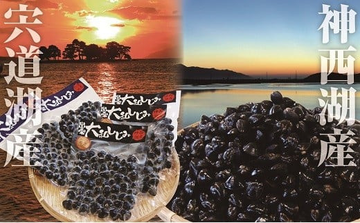 しじみの食べ比べ！宍道湖産＆神西湖産