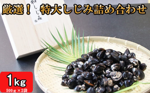 厳選特大しじみ詰め合わせ