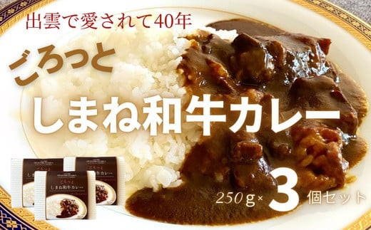 ごろっと しまね和牛カレー    3食セット