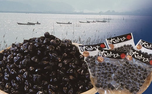 【３回定期便】ぷっくり大きな身！食べて美味しい！神西湖産大和しじみ