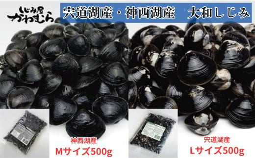 どちらがお好き？冷凍砂抜しじみセット