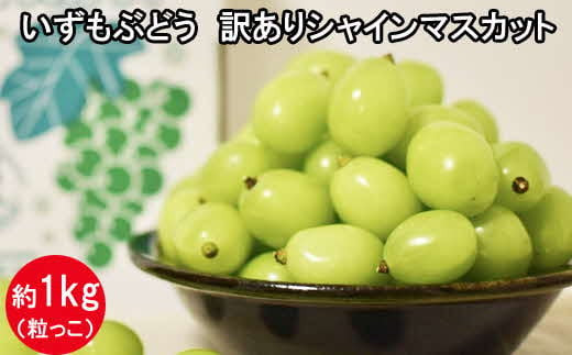 【2026年7月中旬以降発送】いずもぶどう　訳ありシャインマスカット（粒っこ）