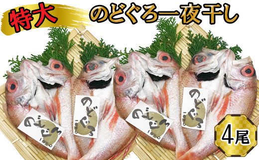 特大&nbsp;のどぐろ　一夜干し2尾×2箱セット