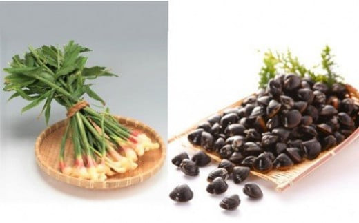 道の駅湯の川厳選特産品セット