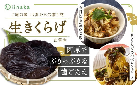 出雲市産生きくらげ