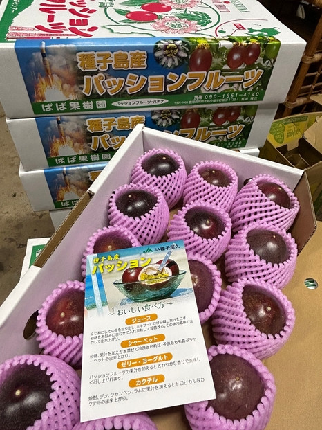 種子島産 パッションフルーツ 約2kg（約20個前後）