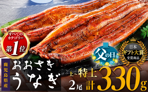 数量限定【2026年父の日までにお届け】鹿児島県産うなぎ長蒲焼2尾