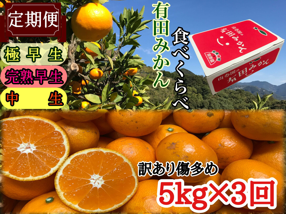 定期便 訳あり 傷多め 5kg × 3回 コース 有田みかん 食べくらべ 3種 全3回 南泰園