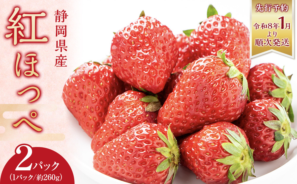 ◆先行予約　令和8年1月より順次発送◆静岡県産紅ほっぺ（約260g×2パック）JA遠州夢咲