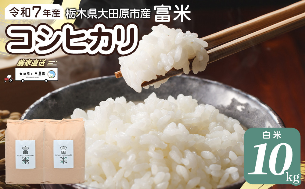 【先行予約】≪10月中旬以降発送≫令和7年産 栃木県大田原市産コシヒカリ「富米」 白米 10キロ ｜米 お米 新米 コメ こしひかり 10kg