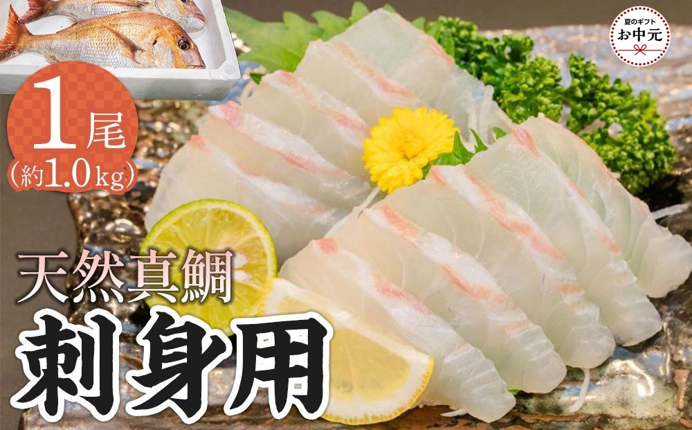 【お中元ギフト】天然真鯛&nbsp;刺身用（4人～5人前）