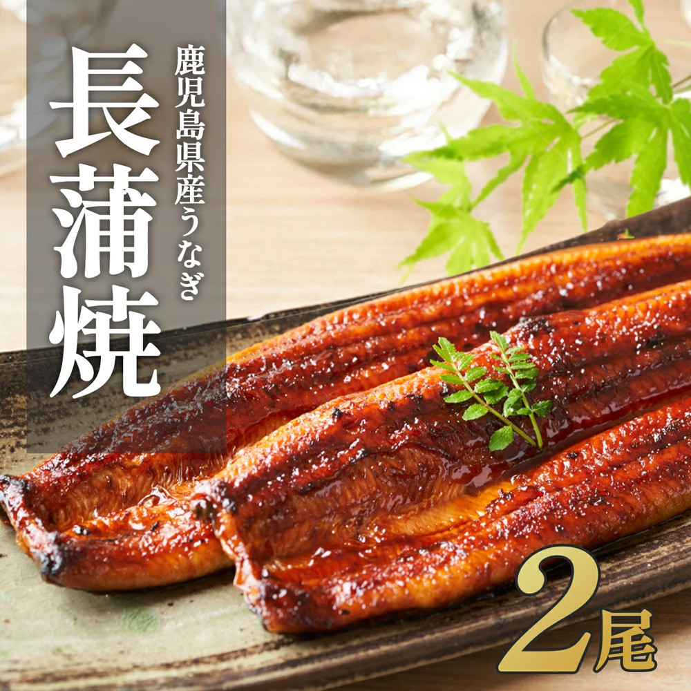ふるさと納税限定　鹿児島県大崎町産&nbsp;国産&nbsp;うなぎ長蒲焼&nbsp;2尾&nbsp;計320g以上&nbsp;|&nbsp;鰻&nbsp;うなぎ蒲焼き&nbsp;うな重&nbsp;ひつまぶし&nbsp;ウナギ&nbsp;蒲焼&nbsp;人気&nbsp;おすすめ&nbsp;鹿児島&nbsp;大隅半島&nbsp;DU001　