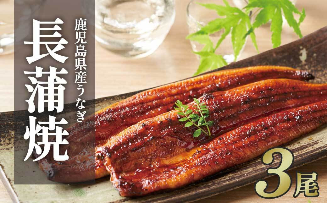 ふるさと納税限定　鹿児島県大崎町産&nbsp;国産&nbsp;うなぎ長蒲焼&nbsp;3尾&nbsp;計480g以上&nbsp;|&nbsp;鰻&nbsp;うなぎ蒲焼き&nbsp;うな重&nbsp;ひつまぶし&nbsp;ウナギ&nbsp;蒲焼&nbsp;人気&nbsp;おすすめ&nbsp;鹿児島&nbsp;大隅半島&nbsp;DU002　