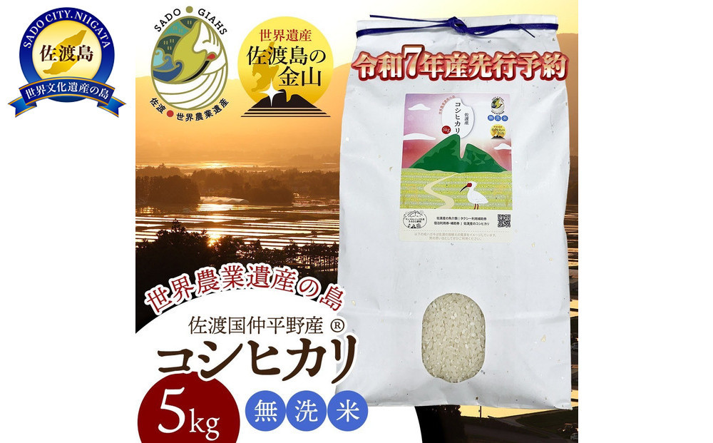 【新潟県佐渡】国仲平野産コシヒカリ＜数量限定・生産地域限定＞ 令和７年産 精米【無洗米】5kg 送料無料
