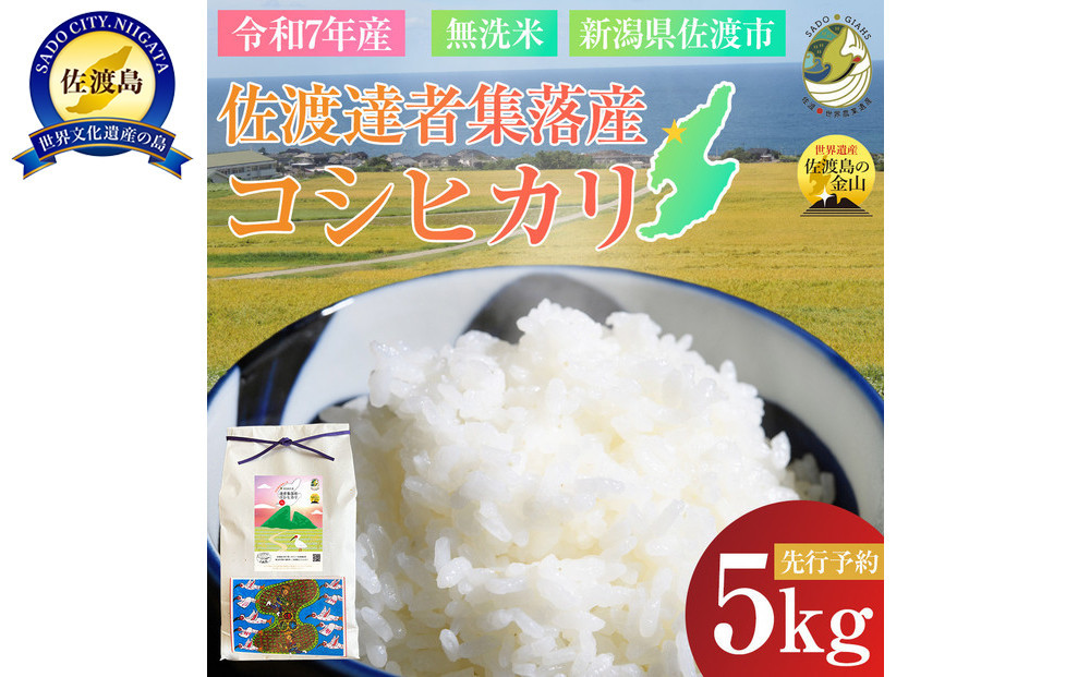 【新潟県佐渡】達者集落産コシヒカリ＜数量限定・生産地域限定＞&nbsp;令和７年産&nbsp;精米【無洗米】5kg&nbsp;送料無料