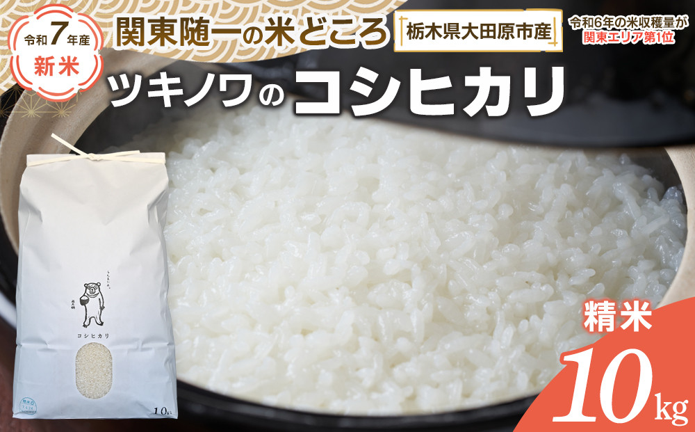 【令和7年産】ツキノワのコシヒカリ&nbsp;精米&nbsp;10kg&nbsp;｜お米&nbsp;白米&nbsp;ご飯&nbsp;コメ&nbsp;栃木県&nbsp;大田原市&nbsp;