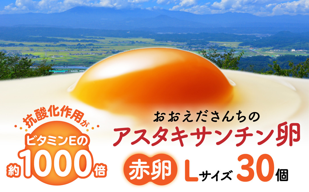 おおえだファーム&nbsp;アスタキサンチン卵（赤卵）Lサイズ&nbsp;30個入り
