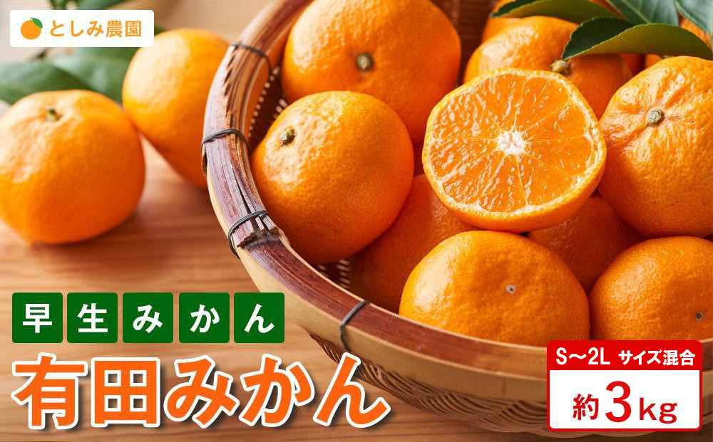 有田みかん&nbsp;早生みかん&nbsp;秀品または優品&nbsp;約3kg&nbsp;S～2Lサイズ混合&nbsp;としみ農園