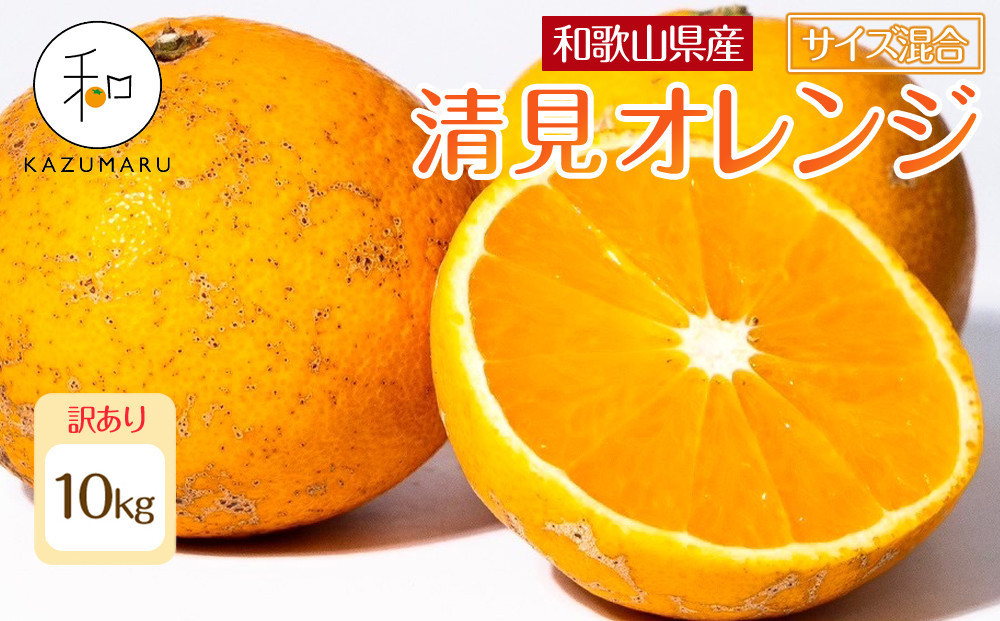 訳あり&nbsp;森本農園の手選別&nbsp;清見オレンジ&nbsp;約10kg&nbsp;和歌山県産&nbsp;サイズ混合&nbsp;［北海道・沖縄・離島配送不可］［RN49］［2026年2月上旬から5月中旬頃順次発送予定］