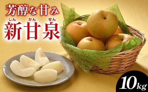 【ポイント交換専用】288.新甘泉（しんかんせん）10kg（JA）※2026年8月中旬～9月上旬頃に順次発送予定【梨&nbsp;なし&nbsp;ナシ&nbsp;新甘泉&nbsp;フルーツ&nbsp;果物&nbsp;鳥取県&nbsp;北栄町&nbsp;おすすめ&nbsp;人気】