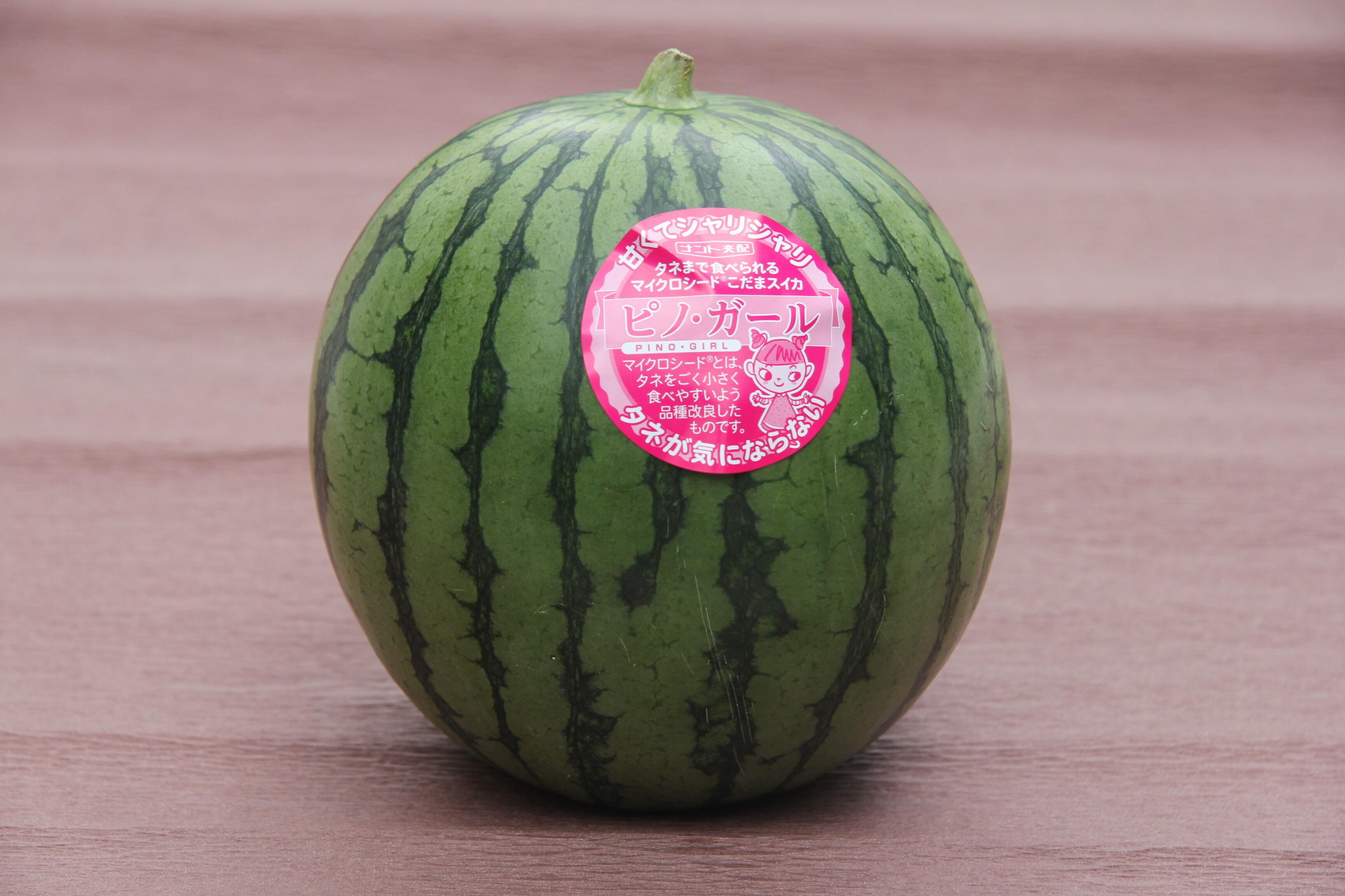 【ポイント交換専用】【先行予約】798.種ごと食べられる！小玉スイカ【ピノ・ガール】2玉（1玉2kg前後×2玉）※着日指定不可※離島への配送不可