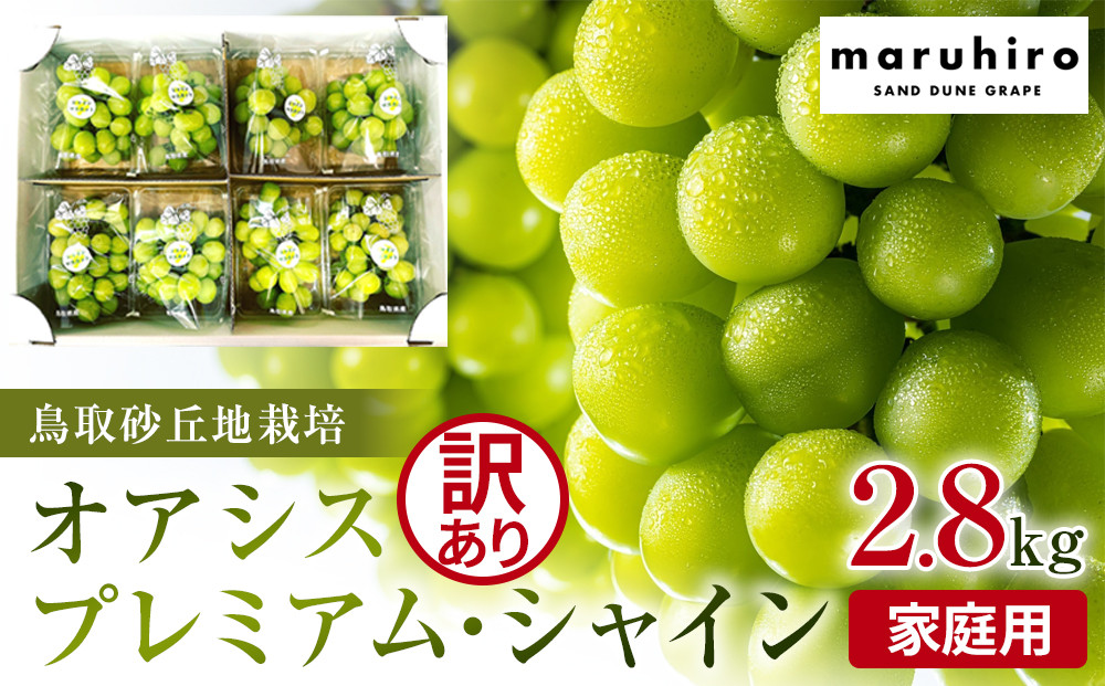 【ポイント交換専用】914.【先行予約】シャインマスカット&nbsp;訳あり&nbsp;家庭用&nbsp;鳥取砂丘地産&nbsp;2.8kg（350g×8パック）&nbsp;※離島への配送不可&nbsp;※2026年8月下旬頃～10月下旬頃に順次発送