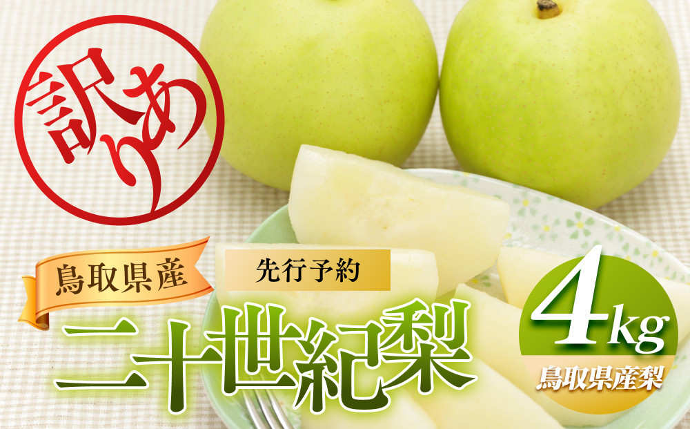 【ポイント交換専用】953.【先行予約】【訳あり】二十世紀梨&nbsp;4kg【梨・なし】≪梨&nbsp;なし&nbsp;ナシ&nbsp;果物&nbsp;フルーツ&nbsp;くだもの&nbsp;鳥取県北栄町≫※8月下旬頃～9月下旬頃に順次発送