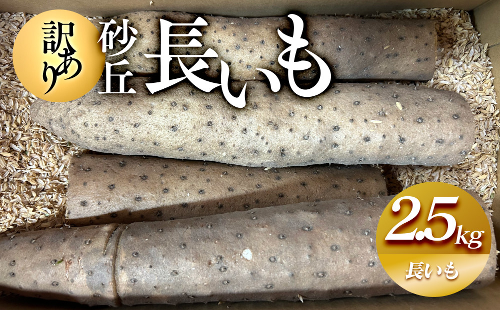 【ポイント交換専用】943.≪先行受注≫【訳あり】砂丘長いも2.5kg&nbsp;&nbsp;長芋&nbsp;ながいも&nbsp;鳥取県産≪野菜&nbsp;やさい≫※11月上旬頃～5月下旬頃に順次発送予定