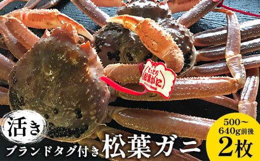 【ポイント交換専用】106.【活き】ブランドタグ付き松葉ガニ&nbsp;500～640g前後　2枚◇&nbsp;≪かに&nbsp;カニ&nbsp;蟹&nbsp;ズワイガニ≫　※2025年11月上旬～2026年3月上旬頃に順次発送予定