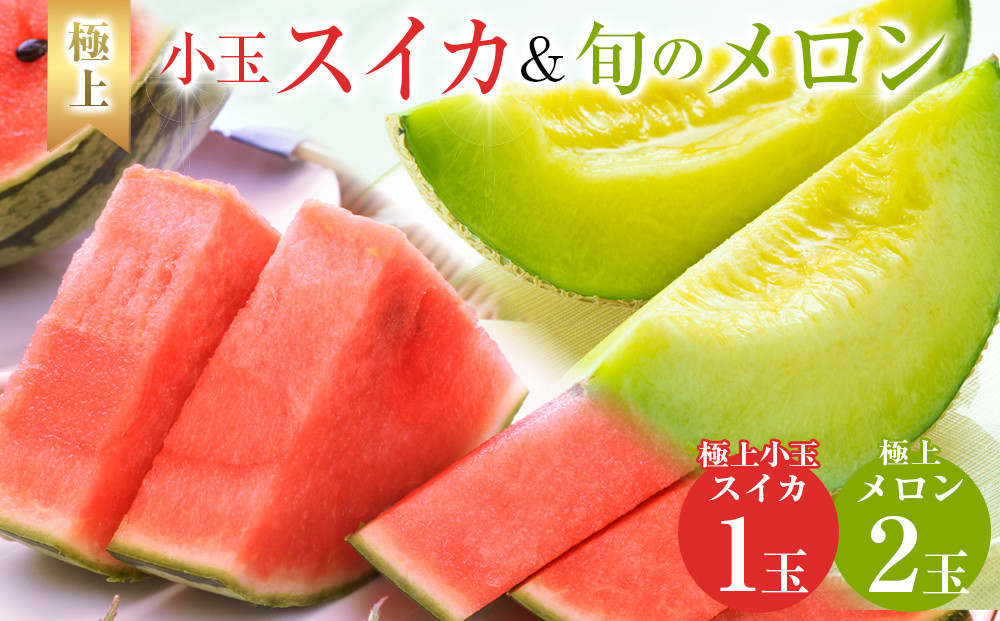 【ポイント交換専用】254.【先行予約】極上小玉スイカと旬のメロン2玉セット ※6月上旬～7月下旬頃に順次発送予定