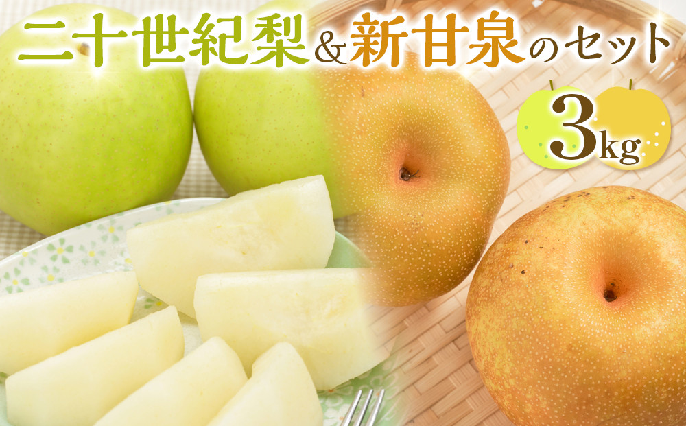 【ポイント交換専用】284.【先行予約】二十世紀梨と新甘泉のセット｜梨 なし 二十世紀梨 新甘泉 しんかんせん　※2025年8月下旬～9月下旬頃に順次発送予定
