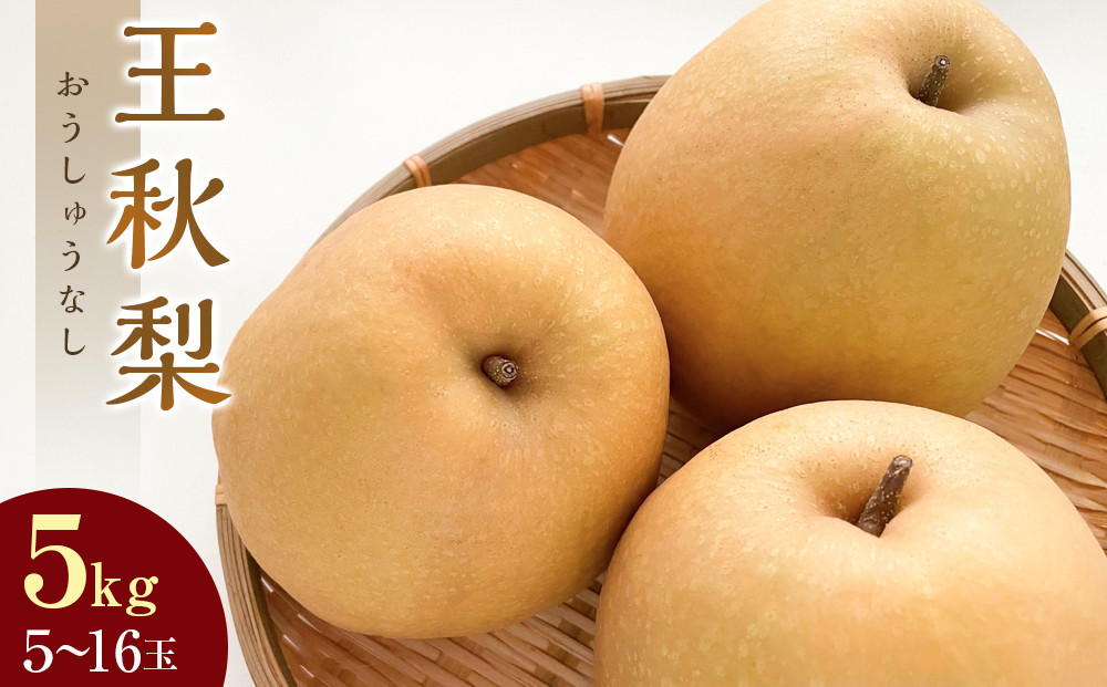 【ポイント交換専用】297.【先行予約】王秋梨　5kg前後（5～16玉前後）≪果物&nbsp;フルーツ&nbsp;くだもの≫　※2026年10月下旬～12月上旬頃に順次発送予定