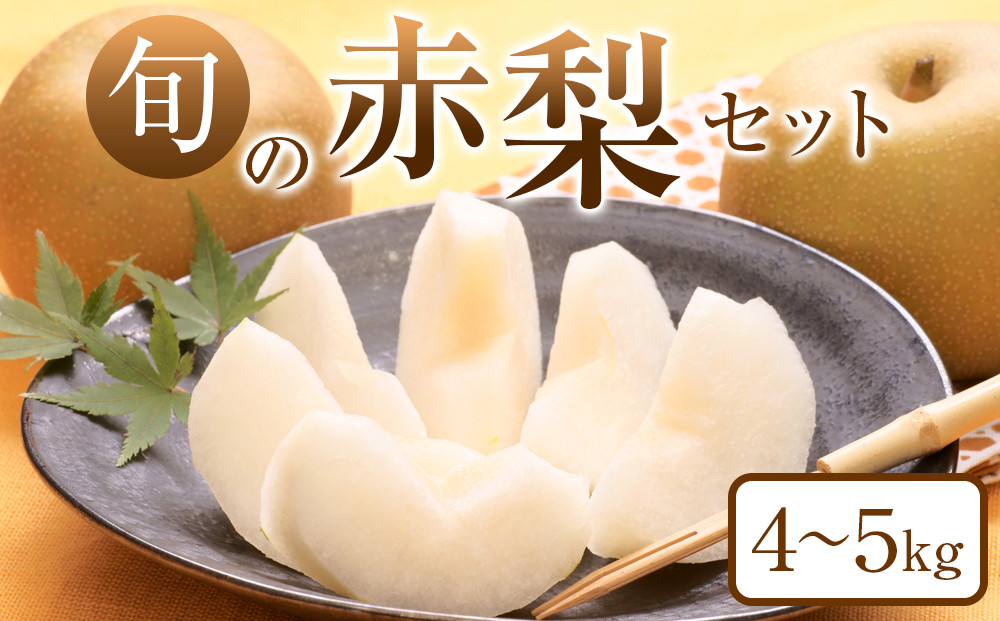 【ポイント交換専用】307.【先行予約】旬の赤梨セット　4～5kg前後◇　※2026年8月下旬～12月下旬頃に順次発送予定